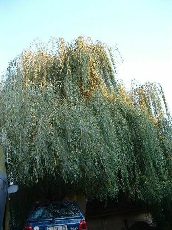 ungarn03_209